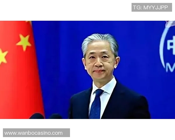 赖斯的外交智慧与全球影响力探析：重塑国际关系的新篇章